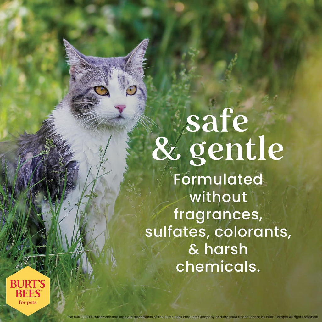 Cat Dander Remover Wipes with Colloidal Oat Flour - Pet Dander Remover Cat Wipes for Allergy Relief, Dry Skin Relief for Cats and Kittens, 50 Count